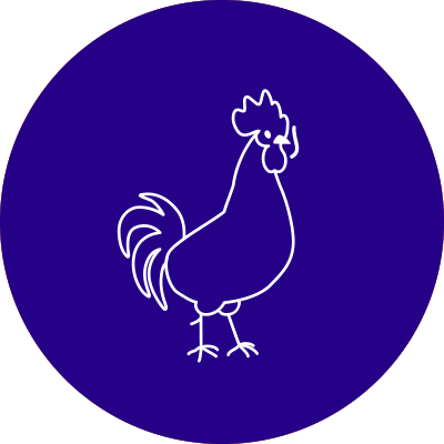 Pour ta boisson préférée, tu aimes le bio et le local ? Avec le lupin La Trribu des Kawas, tu es servi !